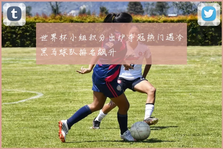 世界杯小组积分出炉夺冠热门遇冷黑马球队排名飙升