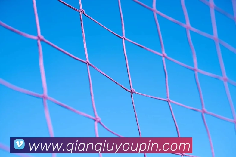 星空体育综合平台APP 封面图